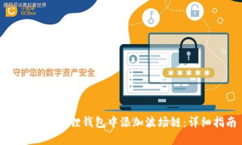 如何在小狐狸钱包中添加波场链：详细指南