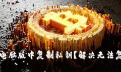 如何在TP钱包电脑版中复制