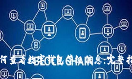 如何查看数字钱包等级信息：完整指南