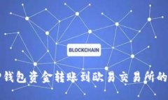如何将TP钱包资金转账到欧