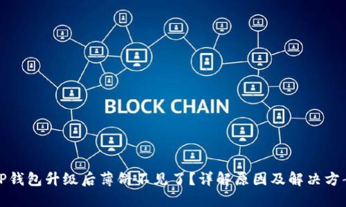 TP钱包升级后薄饼不见了？详解原因及解决方案