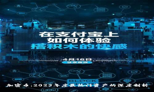 加密币：2023年度最热门资产的深度剖析