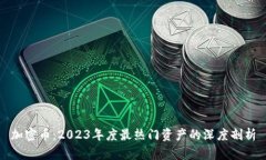 加密币：2023年度最热门资