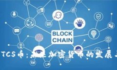 深入解析BTCS币：未来加密