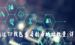 如何通过TP钱包查看持币地
