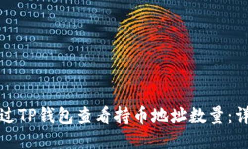 如何通过TP钱包查看持币地址数量：详细指南