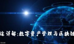 TP钱包用途详解：数字资产