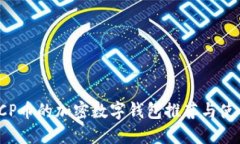 支持ICP币的加密数字钱包