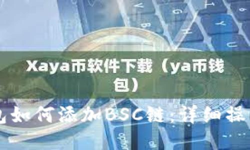 电脑版TP钱包如何添加BSC链：详细操作步骤与技巧