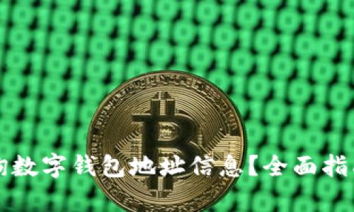 如何查询数字钱包地址信息？全面指南与解析