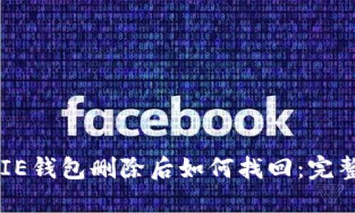 BITPIE钱包删除后如何找回：完整指南