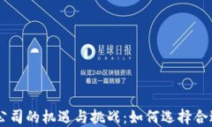 区块链创投公司的机遇与挑战：如何选择合适的