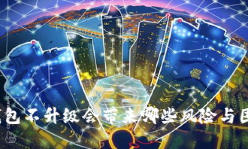 TP钱包不升级会带来哪些风险与困扰？