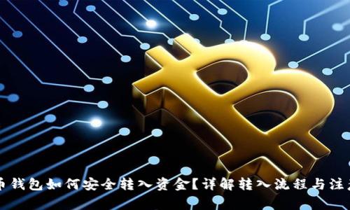 虚拟币钱包如何安全转入资金？详解转入流程与注意事项