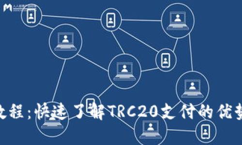 TRC20支付教程：快速了解TRC20支付的优势与使用技巧