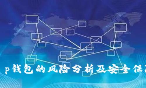 t p钱包的风险分析及安全保障