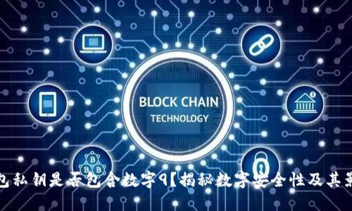 钱包私钥是否包含数字9？揭秘数字安全性及其影响