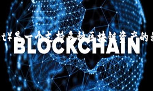 在探讨“TP钱包的网络类型”之前，首先要对TP钱包进行一个简要介绍。TP钱包（TokenPocket Wallet）是一个支持多种区块链资产的移动数字钱包，允许用户管理他们的加密货币资产，参与去中心化金融（DeFi）和分布式应用（DApp）。

### TP钱包的网络类型详解：多链资产管理与使用