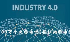 中本聪真的拥有100万个比特币吗？揭秘比特币创