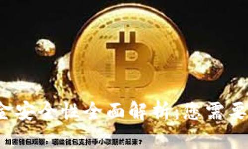 TP钱包资金安全性全面解析：您需要了解的一切