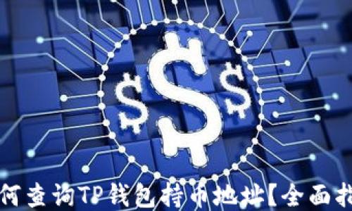如何查询TP钱包持币地址?全面指南