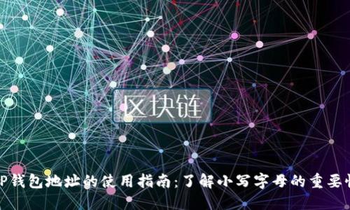 TP钱包地址的使用指南：了解小写字母的重要性
