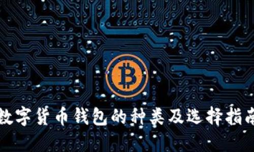 数字货币钱包的种类及选择指南