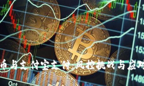 虚拟币与支付宝支付：风控挑战与应对策略