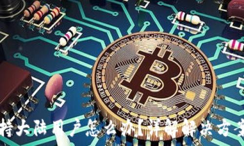   
TP钱包不支持大陆用户怎么办？详解解决方案与使用技巧