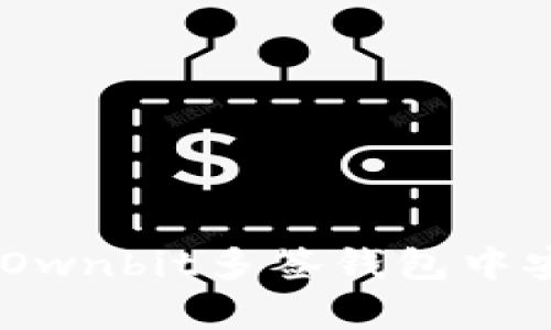 全方位解析：如何在Ownbit多签钱包中安全高效地进行转账