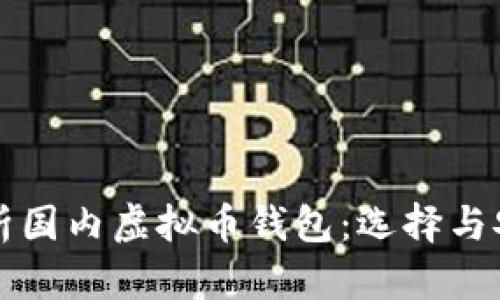 全面解析国内虚拟币钱包：选择与安全指南
